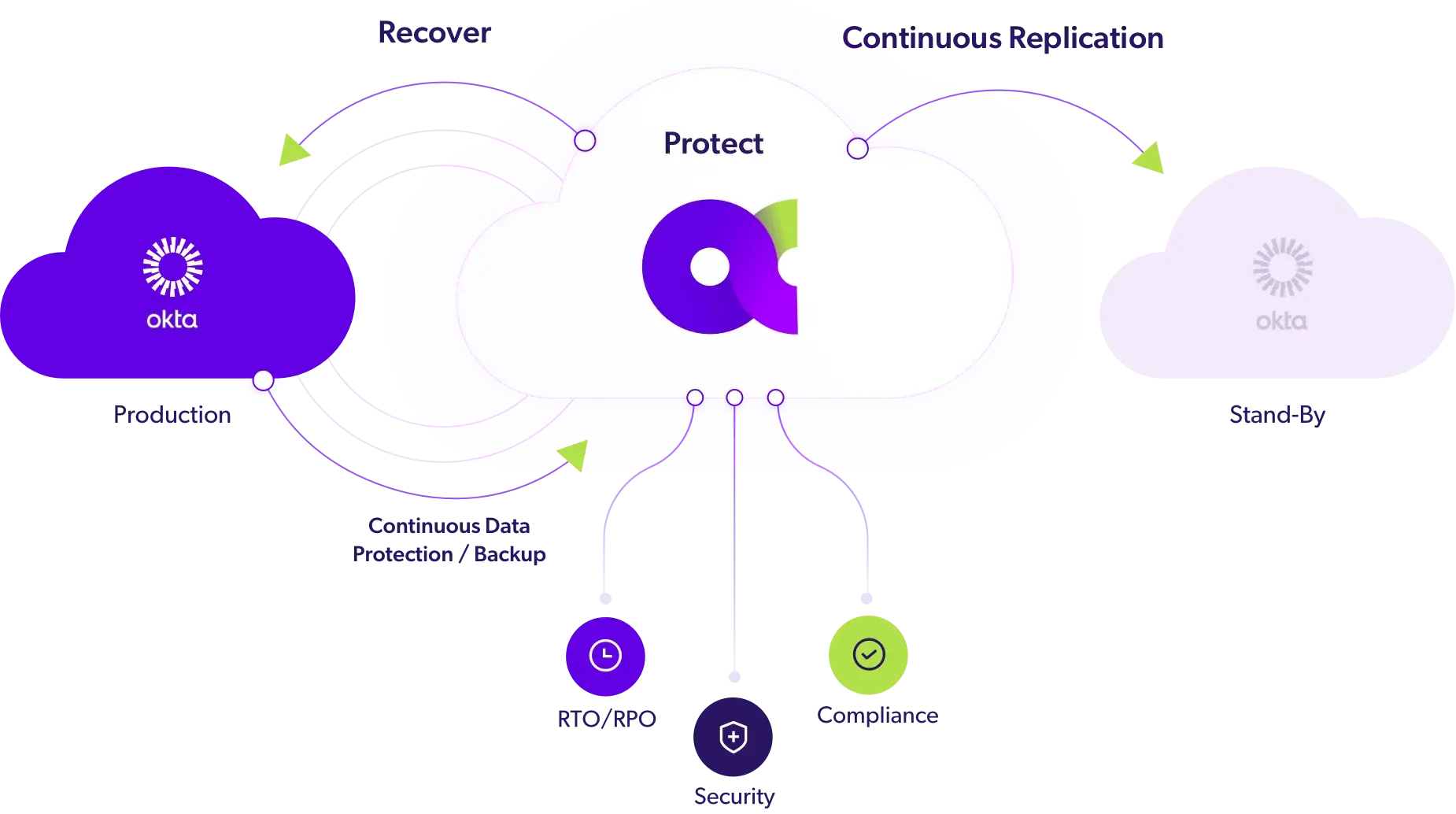 Acsense Ekosystem Acsense Ekosystem